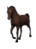 myhorse